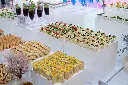 DSC06164.webp